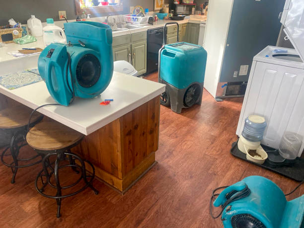 Best Carpet water damage restoration  in Riviera Beach, MD