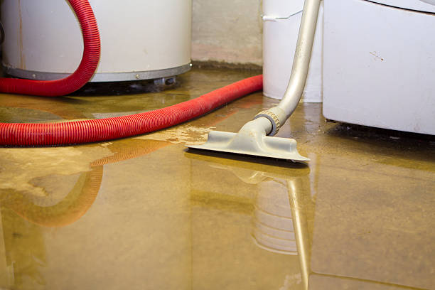 Best Local water damage restoration  in Riviera Beach, MD
