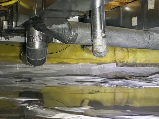 Best Flood damage cleanup  in Riviera Beach, MD