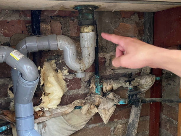 Best Water damage repair service  in Riviera Beach, MD